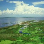 Group logo of Lake Okeechobee Research Working Group